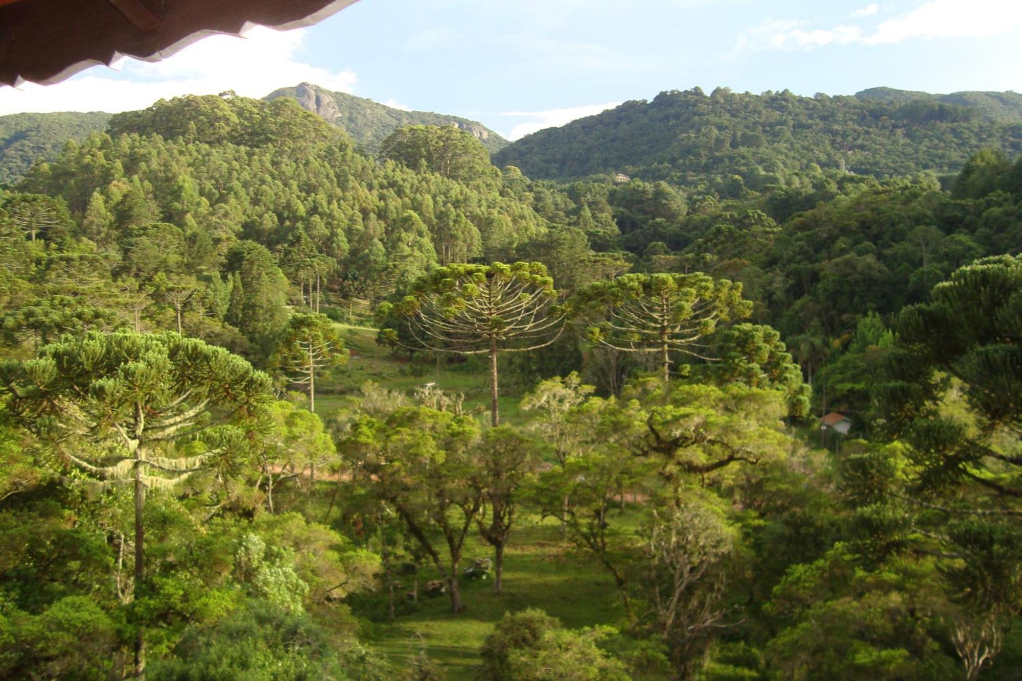 Hotel Piao Mineiro Monte Verde  Exterior photo